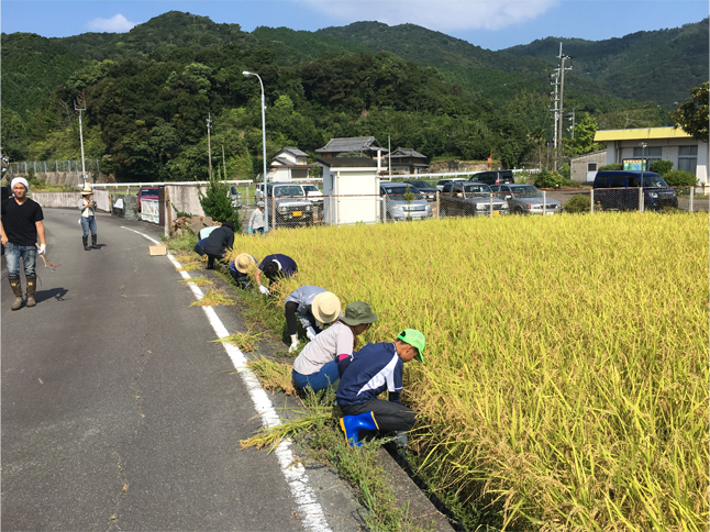 第209回 平成28年収穫の日